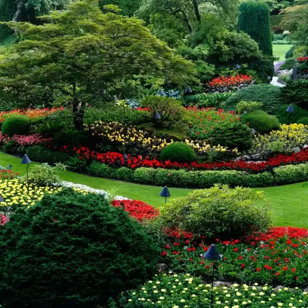 garden